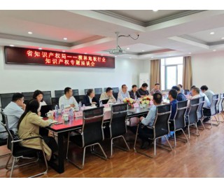 省知识产权局——横林地板行业知识产权专题座谈会举行