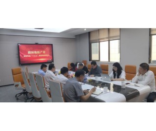 横林地板产业集群发展“十五五”规划调研座谈会举行