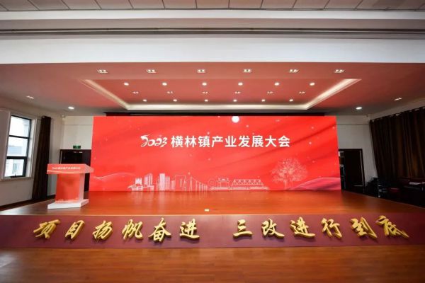 “2023年横林镇产业发展大会”召开